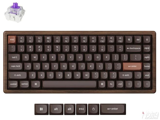盘：Keychron K2 HE新葡京娱乐场app木坨坨磁轴键(图2)