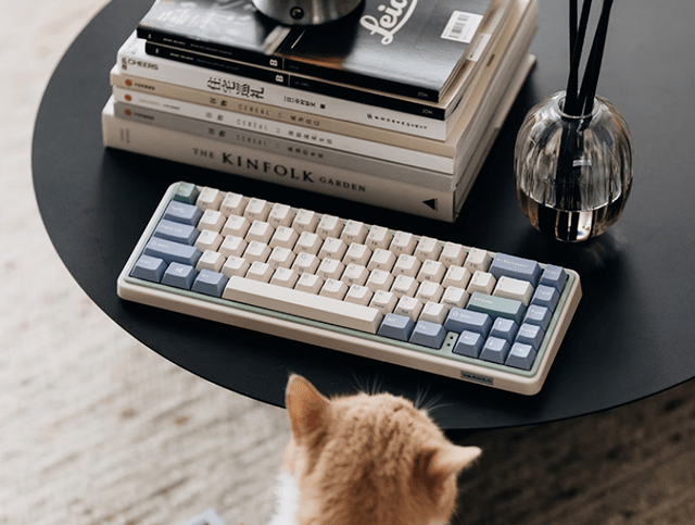 存的机械键盘你知道哪些？新葡京娱乐城颜值与实力并(图2)